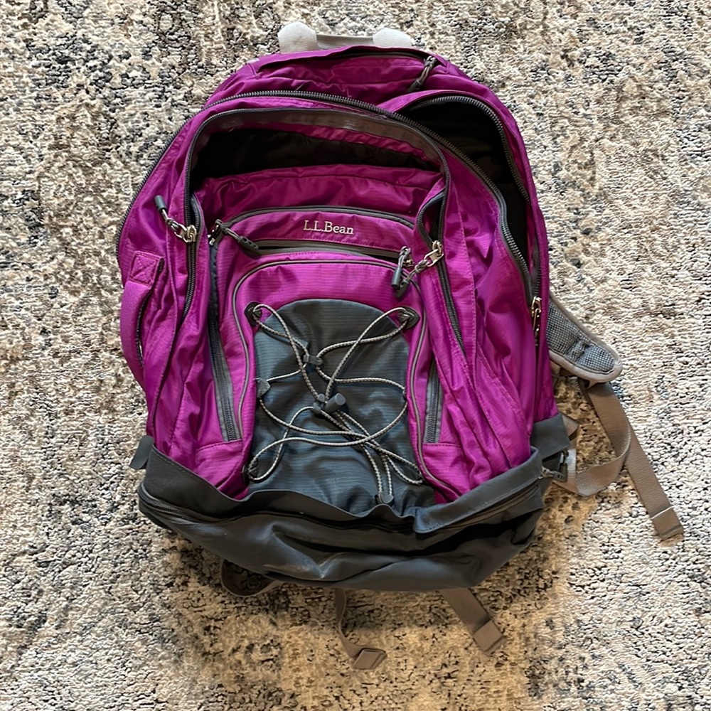 Pink LLBean backpack